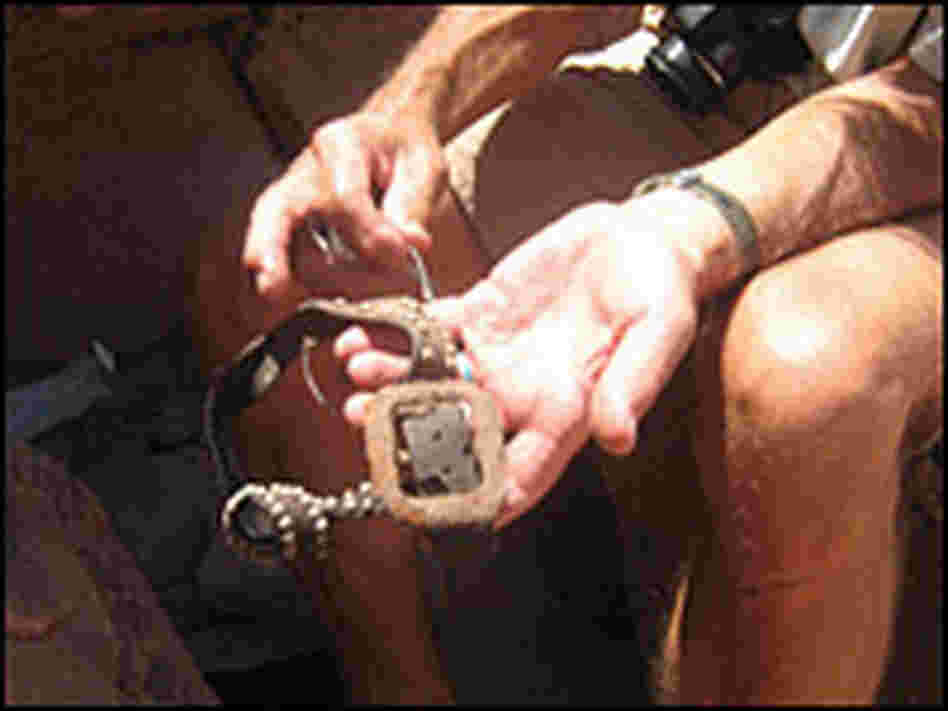 A belt found next to Ruess' skull. David Roberts/National Geographic Adventure