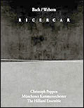 'Ricecar' album cover