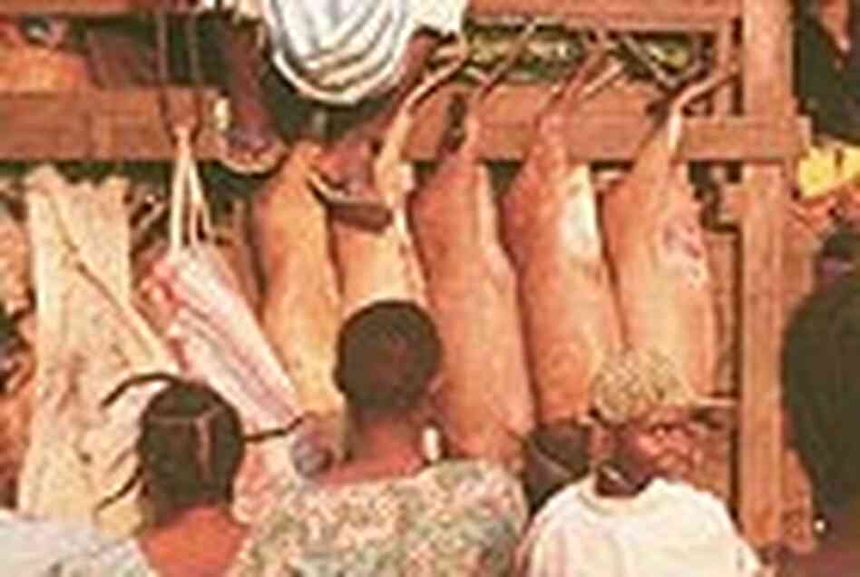 Bushmeat truck Bushmeat truck