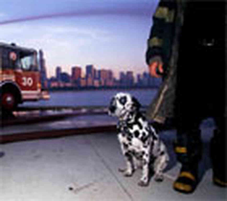 Thirty on the Cover of 'Firefighter's Best Friend' Thirty on the Cover of 'Firefighter's Best Friend'