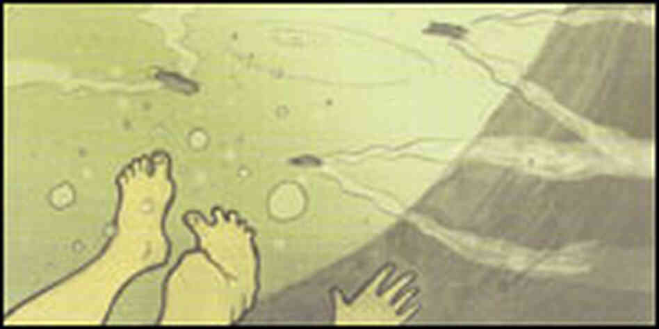 Image of feet underwater from Andrew Bird's CD Image of feet underwater from Andrew Bird's CD