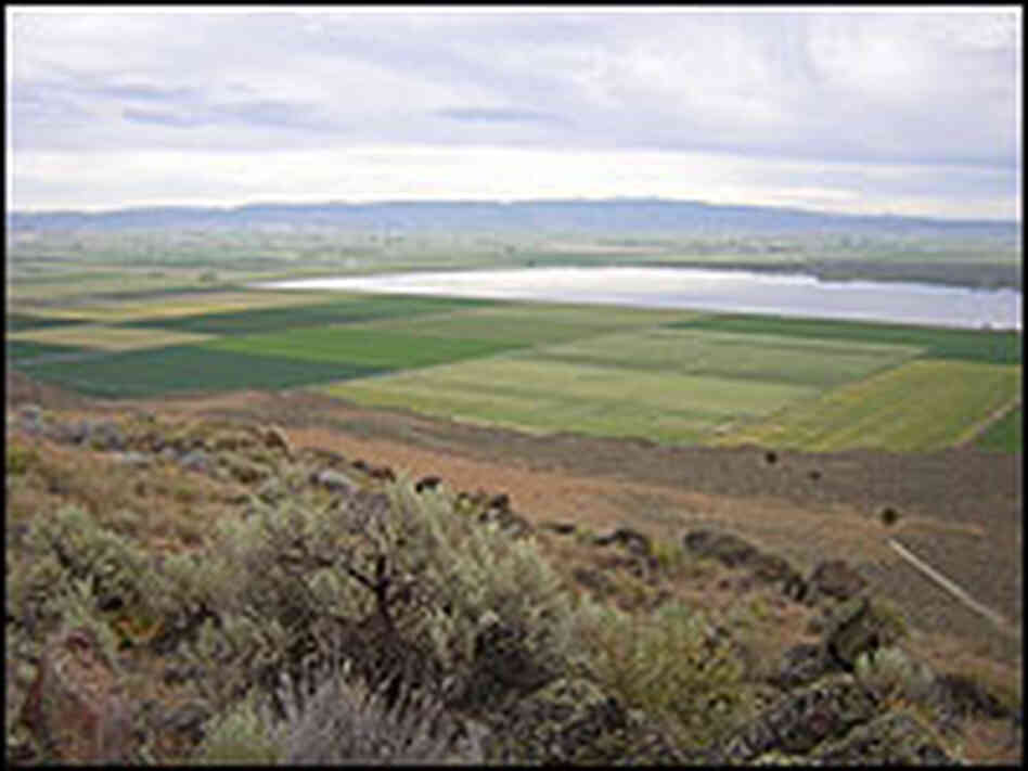 Wildlife refuge turned into tilled farmland in Klamath Valley Wildlife refuge turned into tilled farmland in Klamath Valley