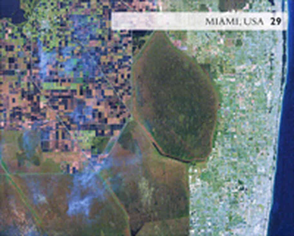 Oxford's Satellite Map of Miami