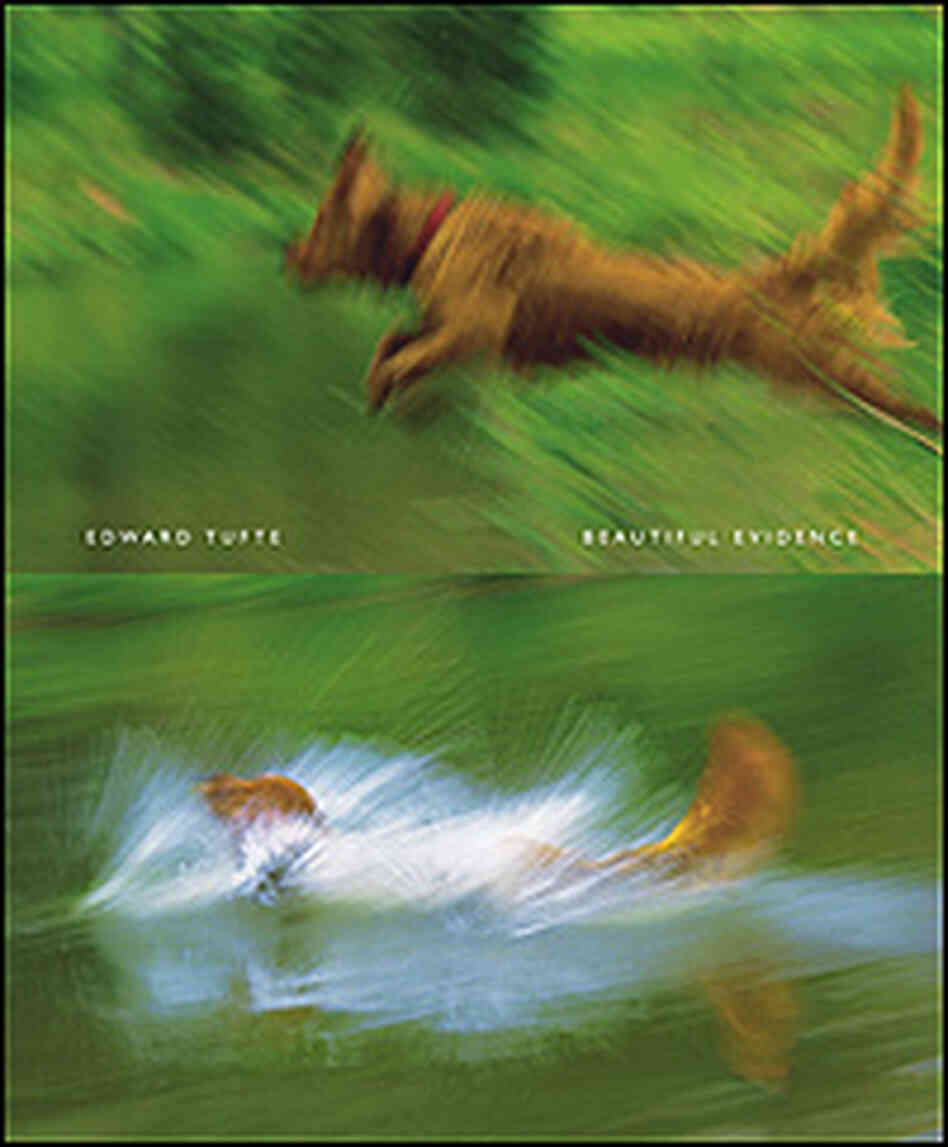 A dog dives into water on the cover of Tufte's latest book. A dog dives into water on the cover of Tufte's latest book.