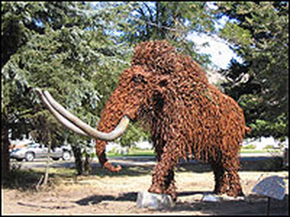 Wooly mammoth sculpture in Fossil, Ore. Wooly mammoth sculpture in Fossil, Ore.