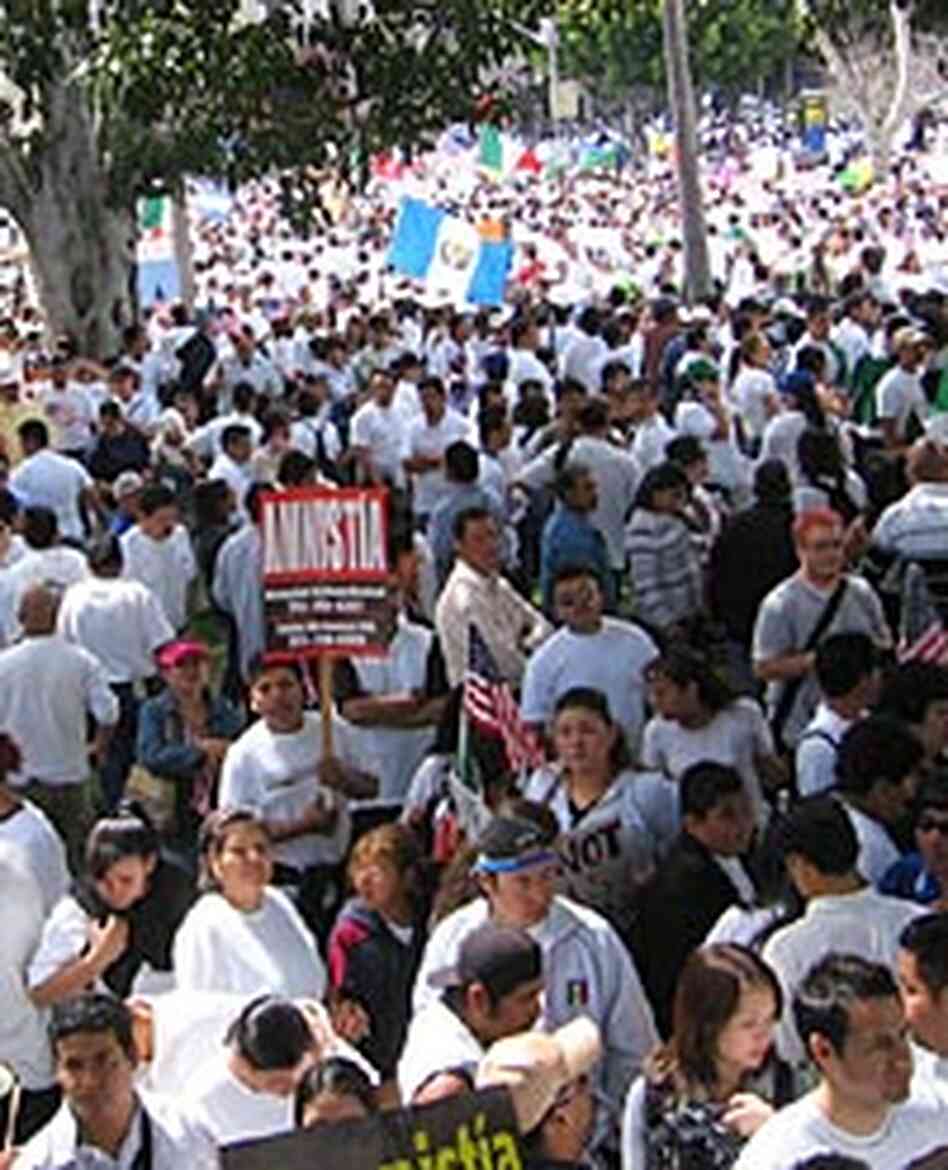 Marchers crowd the grounds outside Los Angeles City Hall. Marchers crowd the grounds outside Los Angeles City Hall.