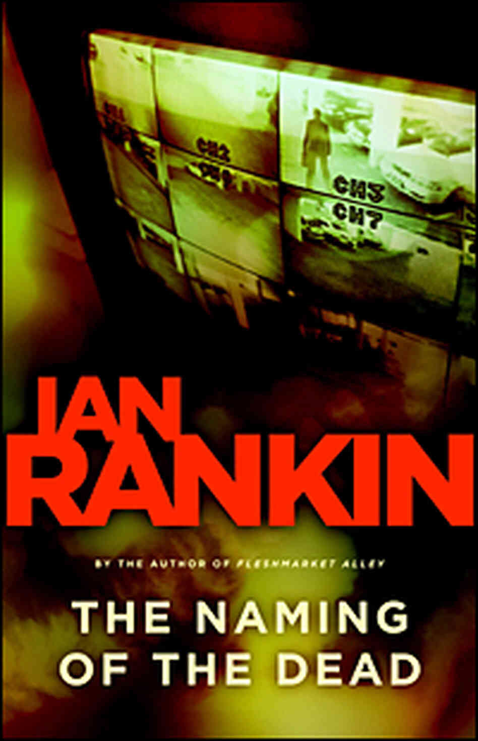 'Naming of the Dead' Book Cover 'Naming of the Dead' Book Cover