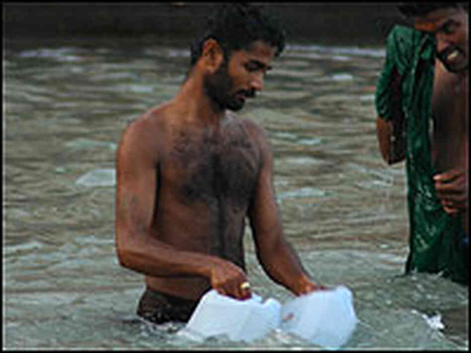 A man gathers water from the Ganges River.