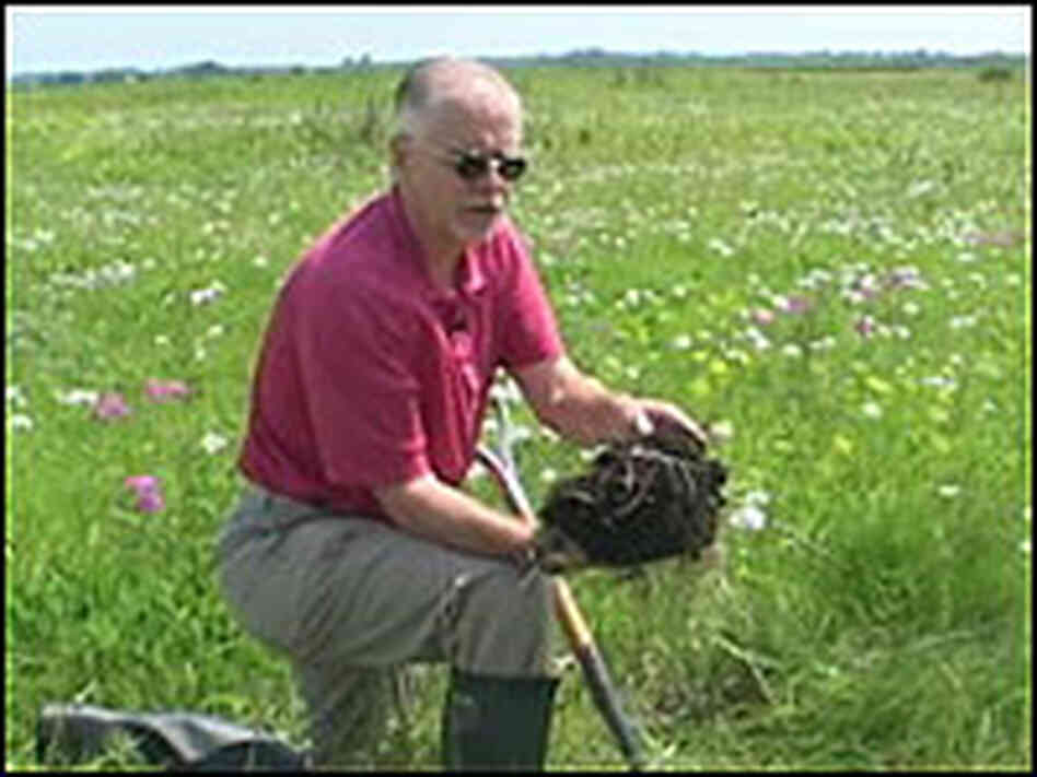 Lee Burras examines Iowa prairie soil.