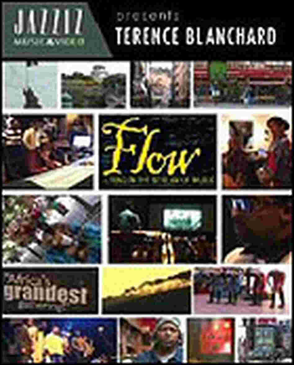 Flow DVD Cover Flow DVD Cover