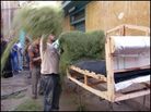 The Darb Al-Ahmar neighborhood thrives with craftspeople. The Darb Al-Ahmar neighborhood thrives with craftspeople.