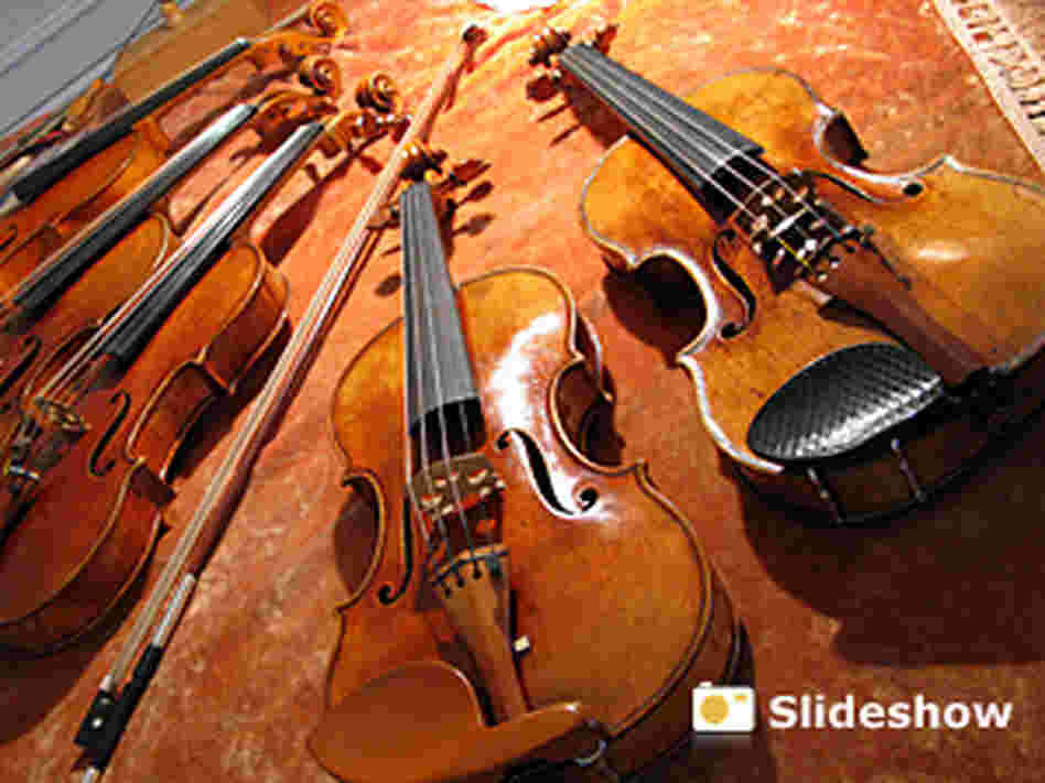 Violin (300) Violin (300)