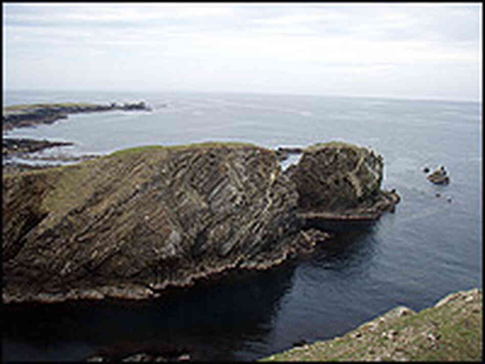 The research team spent days scanning the waters off the Shetland Islands for killer whales.