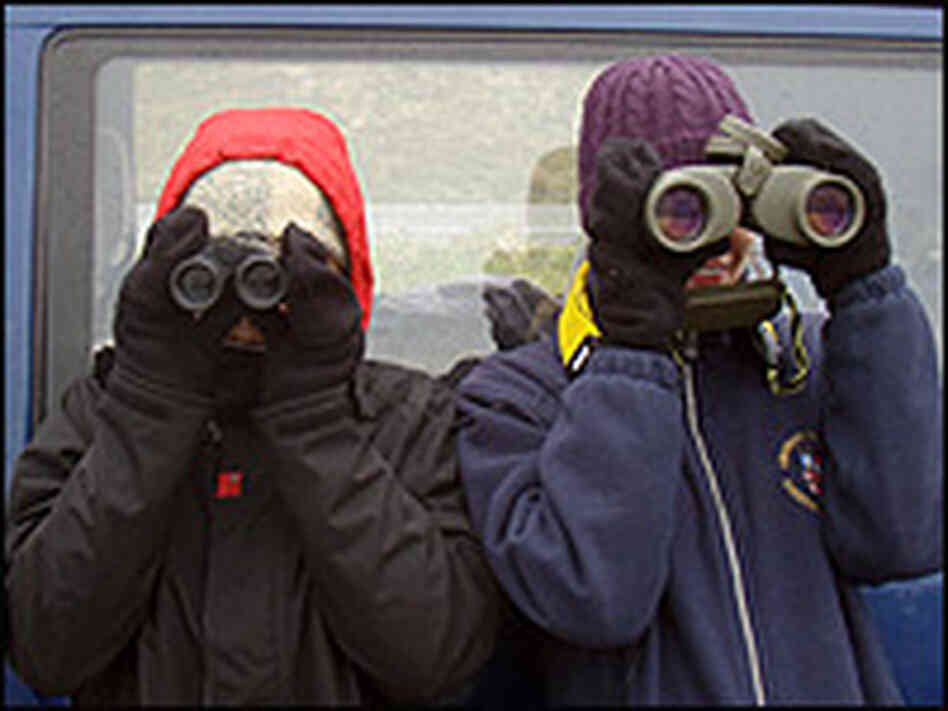 Field assistants scan the water for whales.