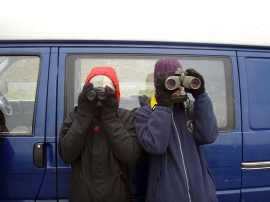 Field assistants scan the water for whales.