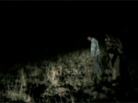 The Nechisar nightjar makes its escape.