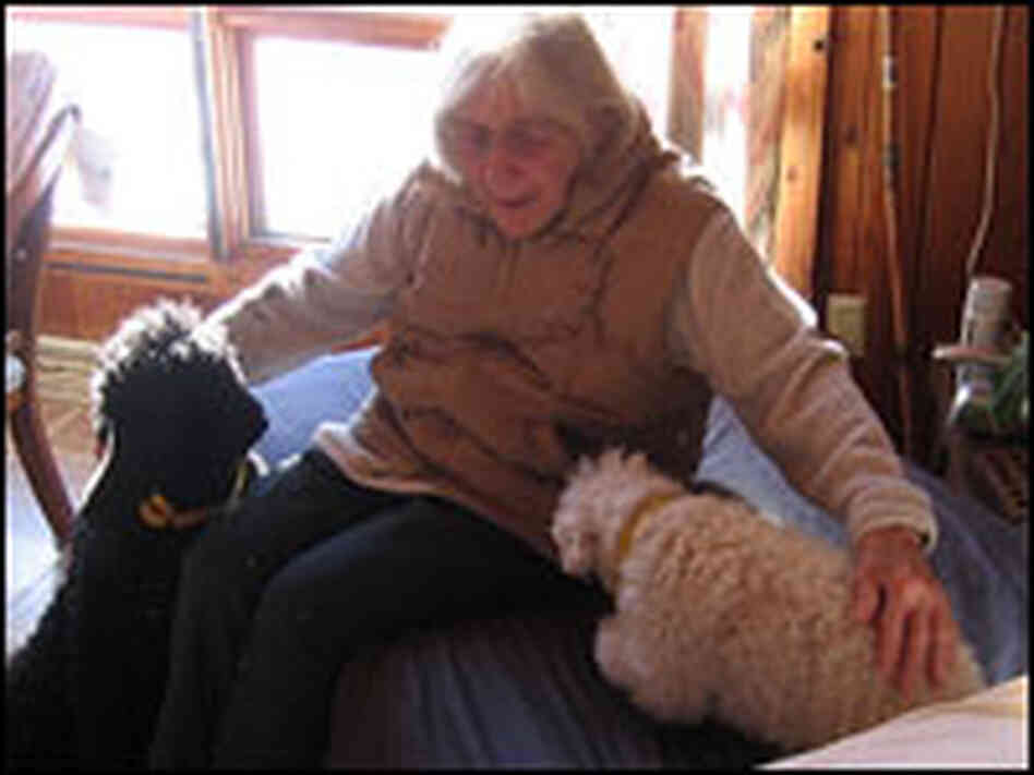 Ginny Boll