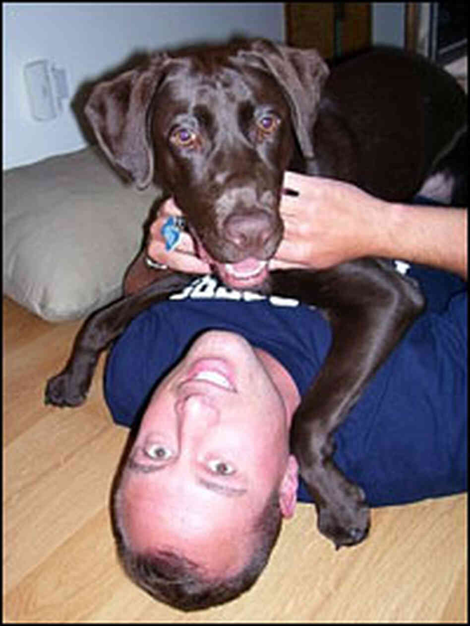 Duncan, a chocolate Labrador, sits on top of his owner, David Buetow. Duncan, a chocolate Labrador, sits on top of his owner, David Buetow.