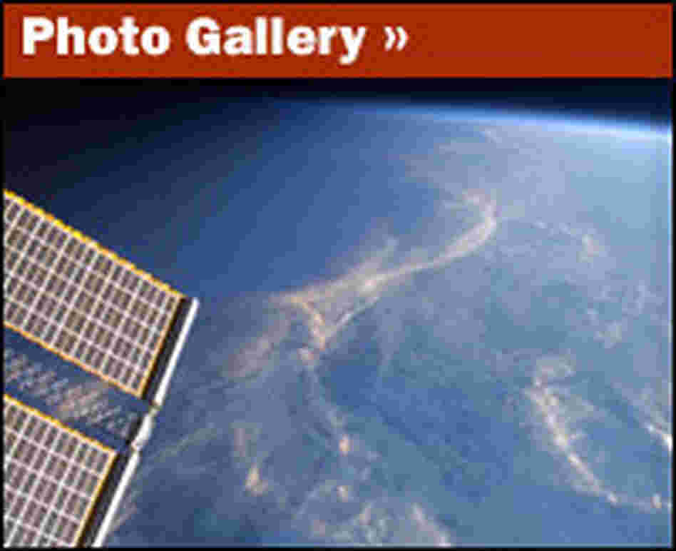 Gallery promo image Gallery promo image