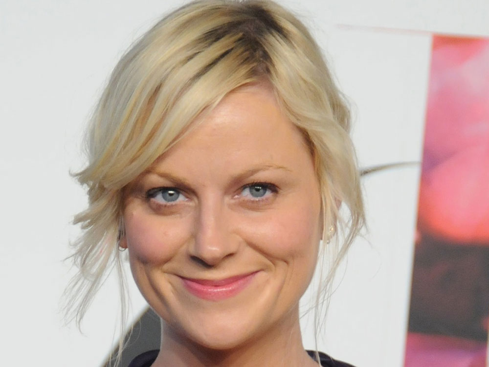 Amy Poehler's film credits include <em>Mean Girls</em> and <em>Baby Mama.</em>