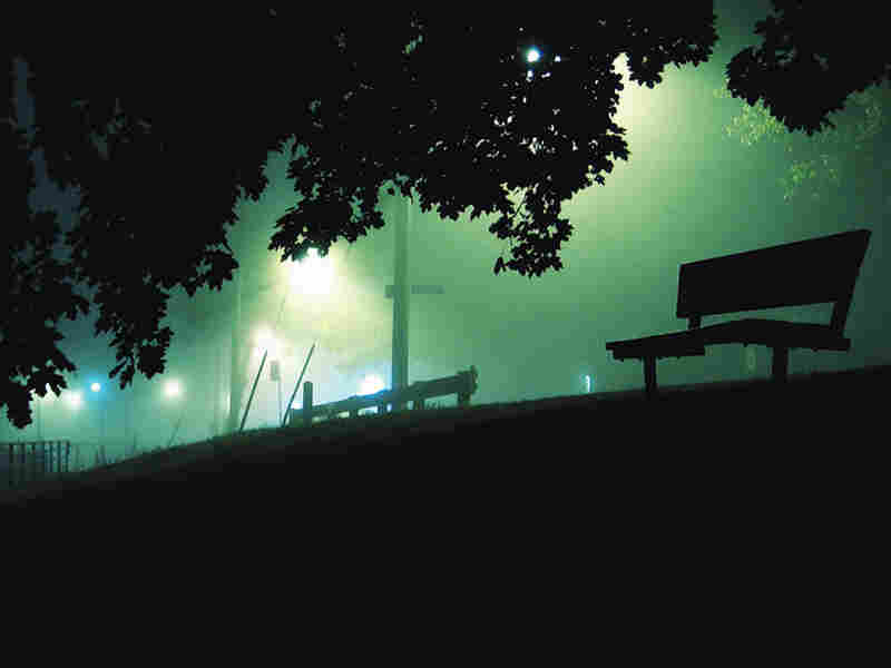 'The Way Home' primary