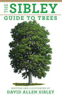 'The Sibley Guide to Trees'