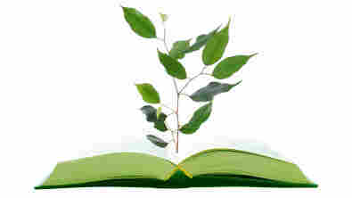 WNS: Illustration of a tree growing from a book.