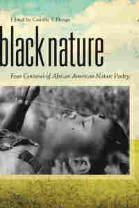 'Black Nature'