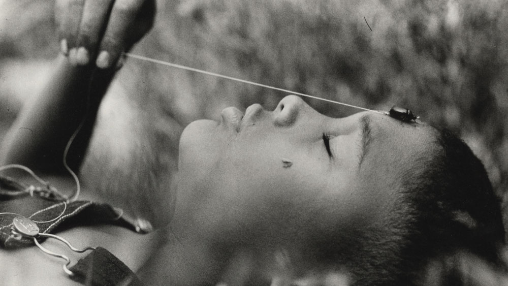 'Black Nature' Poems Of Promise And Survival NPR