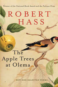 Cover Art: The Apple Trees at Olema