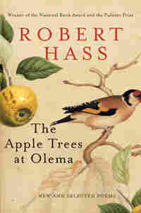 Cover Art: The Apple Trees at Olema