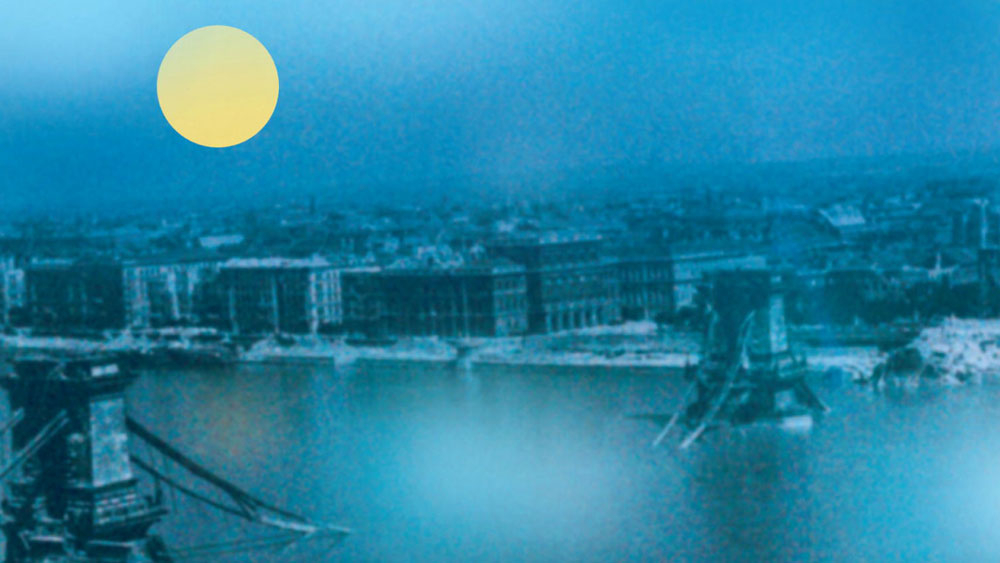 Book Review: 'The Invisible Bridge' by Julie Orringer — Loving Through ...