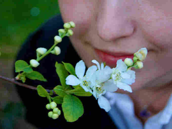 Smelling a flower