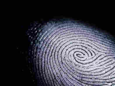 Fingerprint