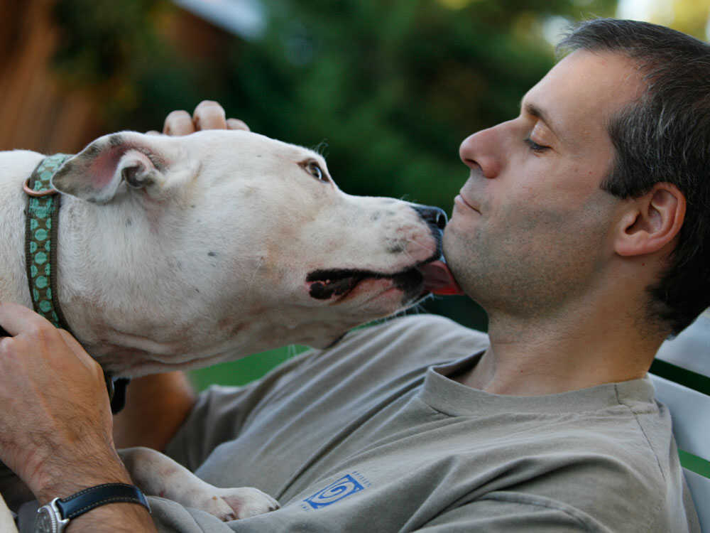 Michael Vick's dog-fighting pit bull Lucas 'who always had a smile'  euthanized after being kept in sanctuary since 2007 bust