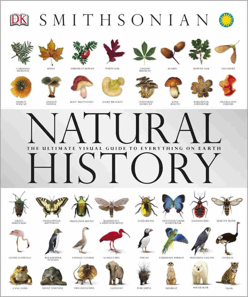 Natural History