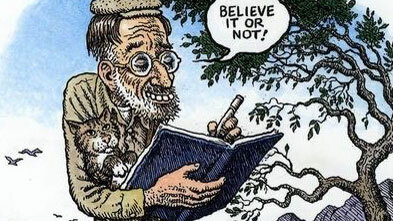 Hint Fiction Npr - 