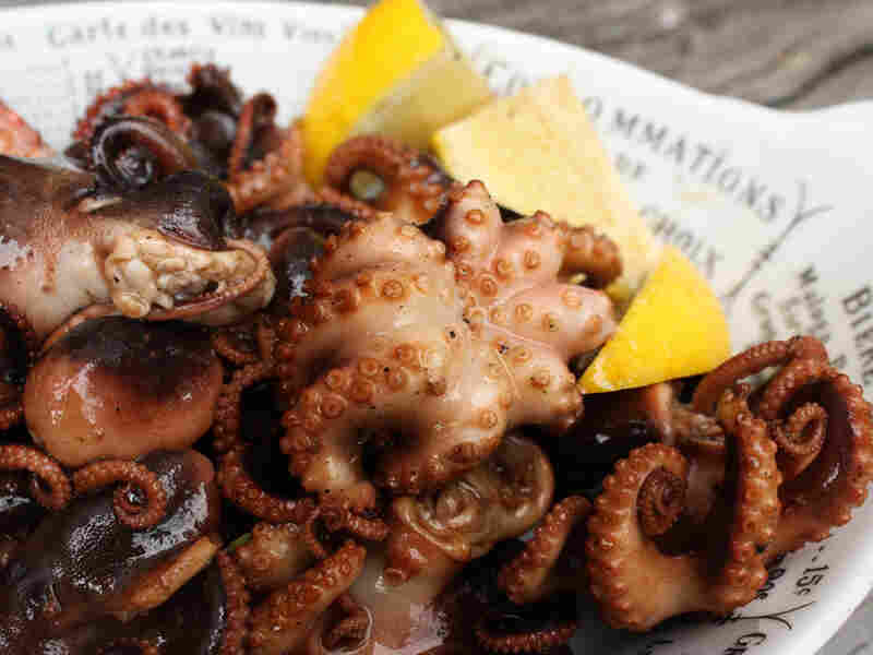 Grilled Baby Octopus In The Manner Of Uncle Nick's