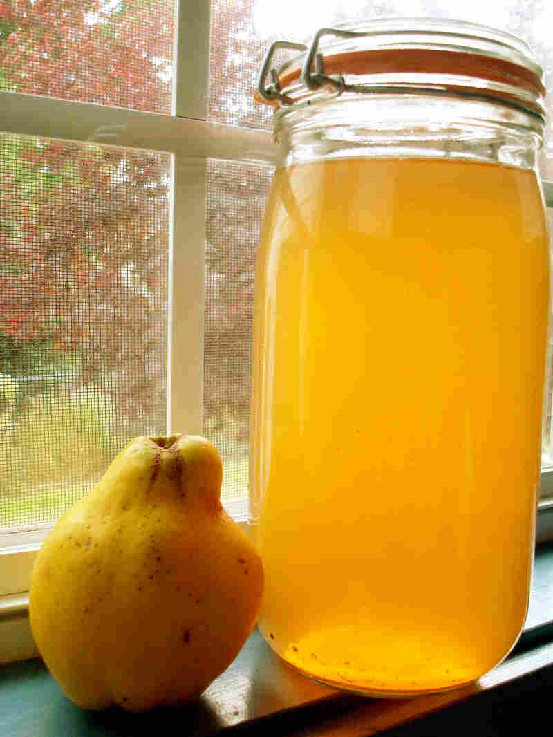 Quince Pip Tea