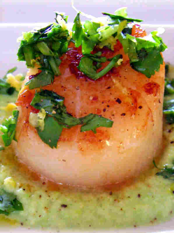 Seared Sea Scallops With Cilantro Gremolata And Pea Puree
