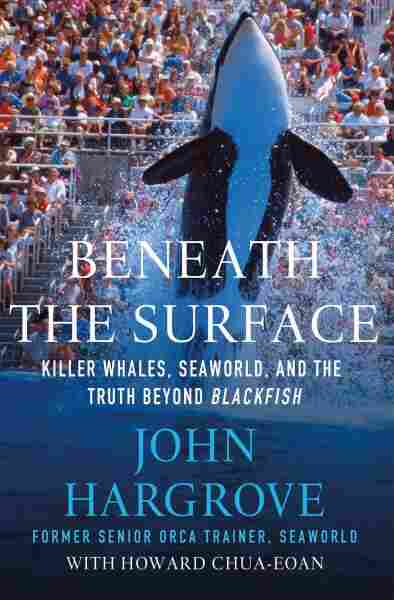 Beneath the Surface