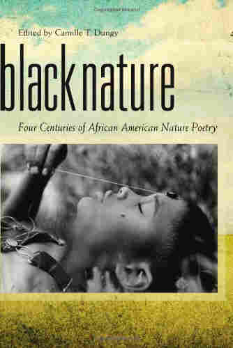 Black Nature