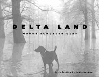 Delta Land