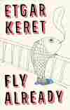 Fly Already