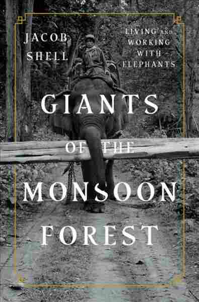 Giants of the Monsoon Forest