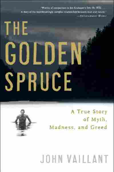 Golden Spruce