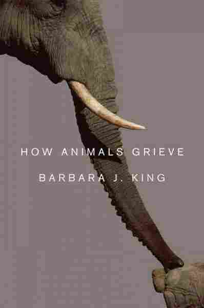 How Animals Grieve