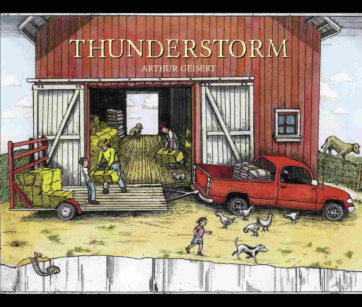 Thunderstorm cover
