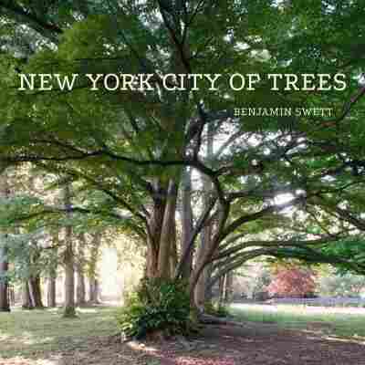 New York City of Trees