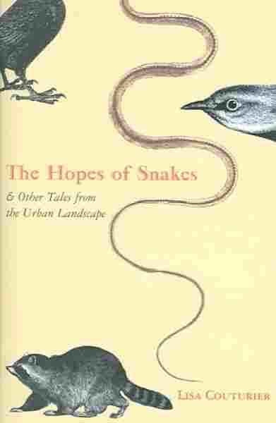 The Hopes Of Snakes
